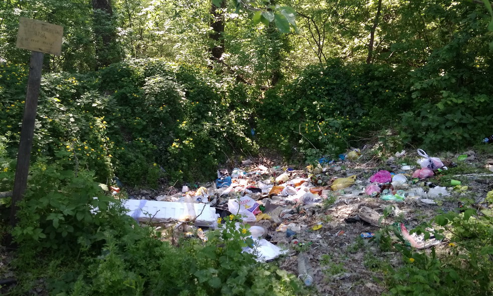 Свалка мусора в лесу Тирасполя