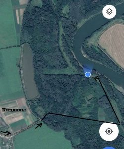 Карта леса в Кицканах