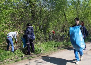 Берег Днестра