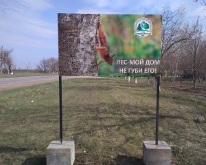 Лес дом - не губи