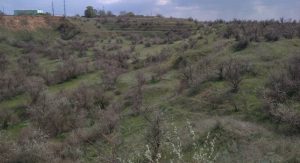 Старая свалка в Тирасполе