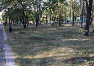 Усыхающий Парк Победы