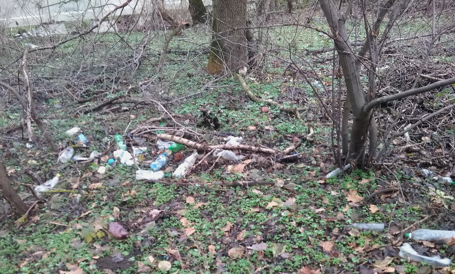 Свалка мусора у лагерей - Тирасполь