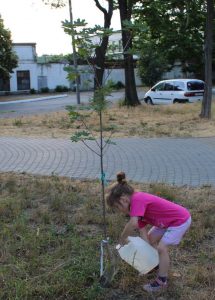 Волонтер Милана с Украины. Лето 2025.