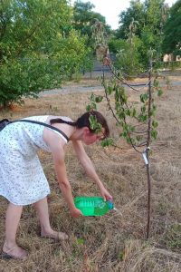 Ольга - волонтер ЭкоПМР