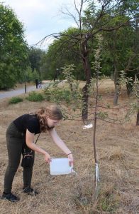 Волонтер Виктория с Тирасполя. Лето 2025.