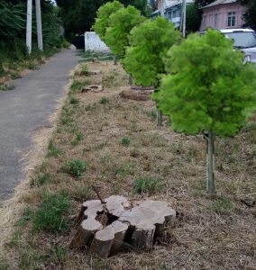 переулок христофорова тирасполь