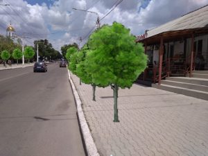 Деревья по Шевченко