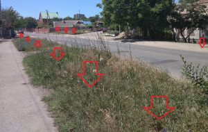 Улица Партизанская в Тирасполе