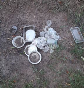 Приднестровье. Березовая роща в Бендерах замусорена