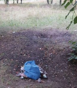 Березовая роща в Бендерах в мусоре