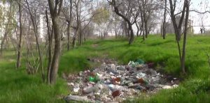 Березовая роща в Бендрах на БАМе в мусоре.