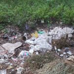 Приднестровье погрязло в мусоре