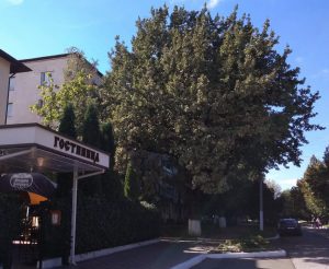 Старые Бендеры