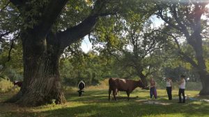 Село Индия - Приднестровье