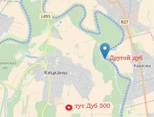 Кицканы - дуб 2.