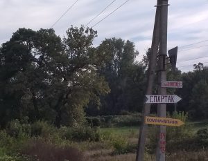 Дуб трасса Спартак