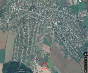 Старый дуб на карте Кицкан