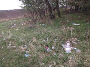 Парканы Тирасполь - посадка