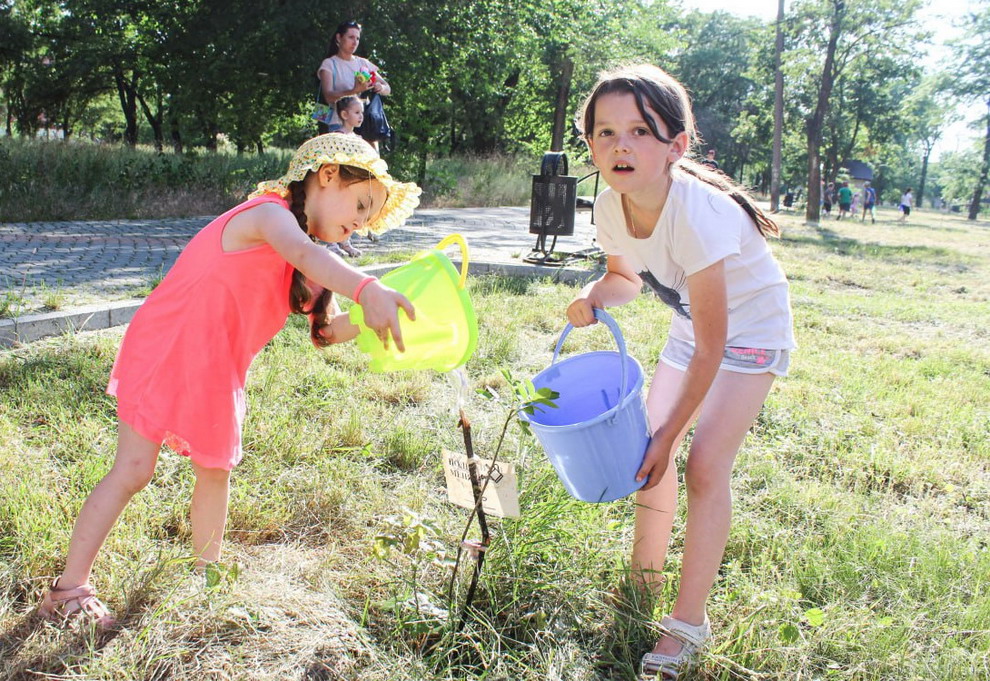 Дети поливают саженцы дуба с ведра