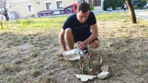 Полив саженцев в скверах Тирасполя