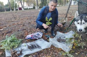 Высадка саженцев деревьев в Тирасполе. Орех, акация, дуб.