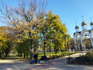 Дуб в парке Кирова