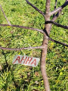 Именная табличка на дерево - Анна