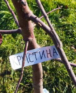 Именная табличка на дерево - Кристина