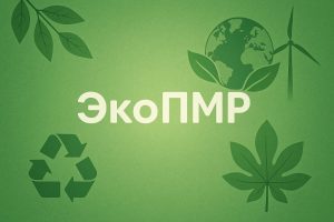 Заставка на рабочий стол в экологичном стиле