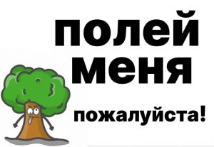 Полей саженец дерева