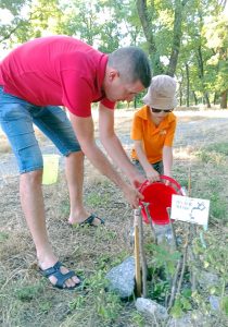 Волонтеры Приднестровья - Папа и сын поливают саженец