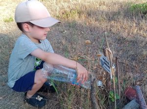 Мальчик поливает саженец дерева