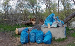 Собранный мусор у пляжа Сократ 2026