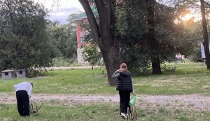 Полив саженцев деревьев в парке Кирова