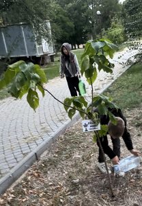 Дети поливают саженцы деревьев